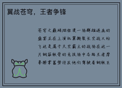 翼战苍穹，王者争锋